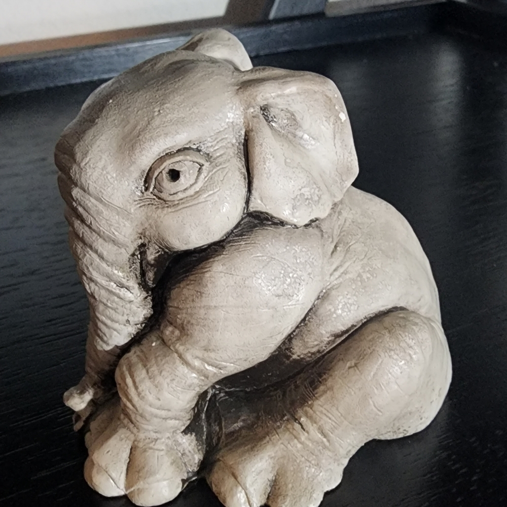 ‎Elephant - Picture 5 of 8
